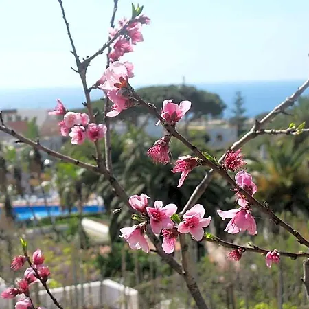 Marinu מלון 3*
