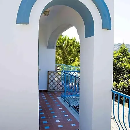 Marinu